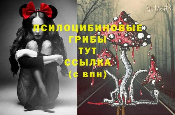 ешки Богородск