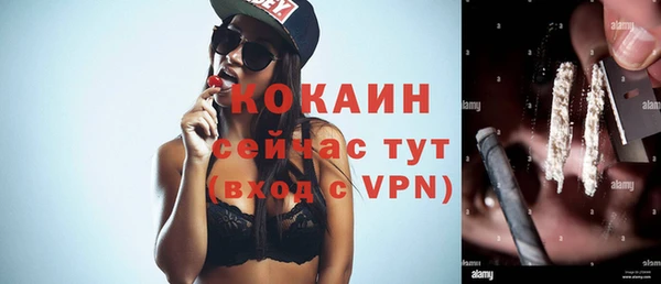 спиды Богородицк