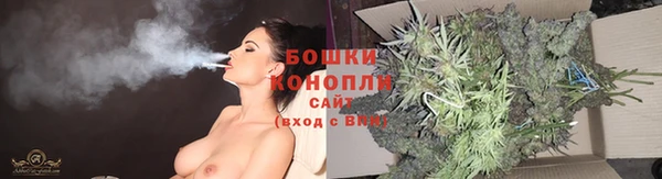 спиды Богородицк