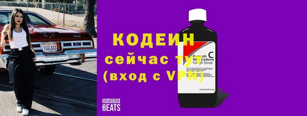 спиды Богородицк