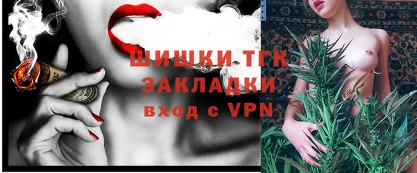 спиды Богородицк