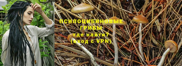 ешки Богородск