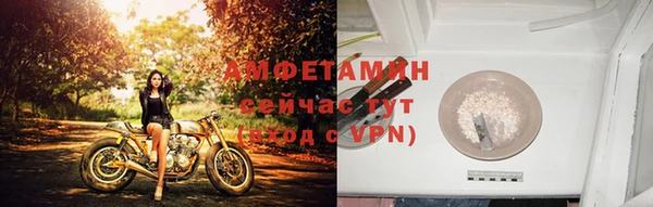 спиды Богородицк